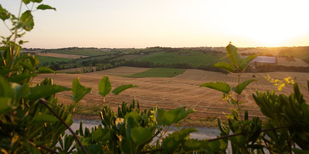 Apartmán Poggio Antico Monte San Vito Exteriér fotografie