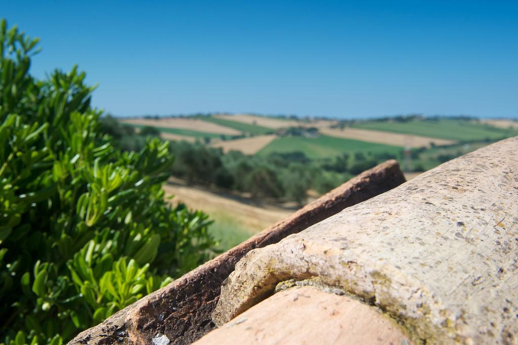 Apartmán Poggio Antico Monte San Vito Exteriér fotografie