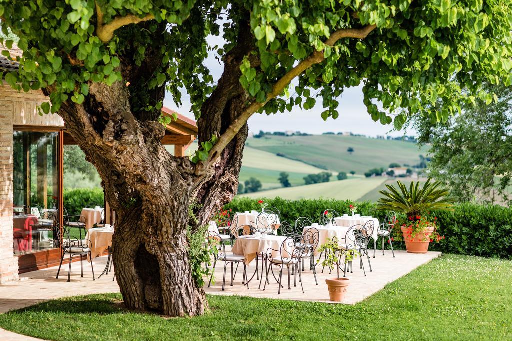 Apartmán Poggio Antico Monte San Vito Exteriér fotografie